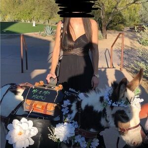 Aidan by Aidan Mattox Black Gown